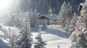 Residence Flora - Image 4