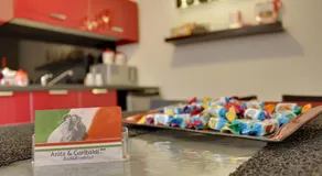 Anita & Garibaldi - Image 5