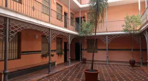 Segura Donkey - Image 3