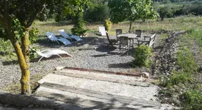LA NURSERY DE MAS GUILLO - Image 5