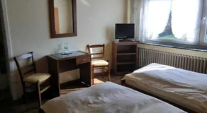 Hotel Restaurant Artemis - Image 2