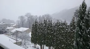 Garni Hotel Sonata - Image 5