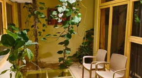 Devi music ashram - Image 3