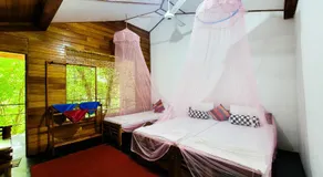 Eco Lodges by Ceylon Adventures - Image 2