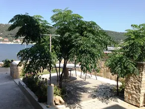 Apartamento con barbacoa | Vistas al mar - Image 5