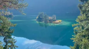 Teddis Traubing - Image 3
