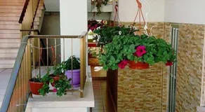 Milounapa - Image 4