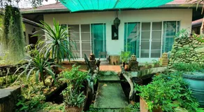 Chaing Dao Koko Home / โกโก้ โฮม เชียงดาว - Image 5