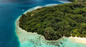 Tropical Place - Image 4