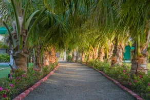 Unity Village Resort - Image 3