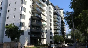 Assuta family - Image 4