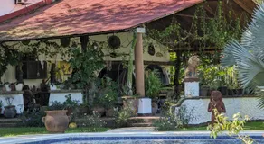 spirit of jungle lodge - Image 5
