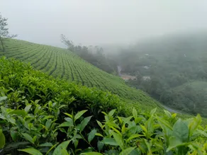 The Wind Munnar - Image 5