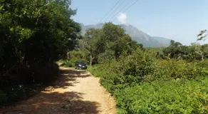 Silent Wild - Image 5