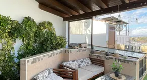 La morena - Image 3