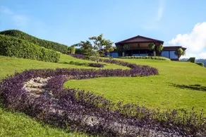 HACIENDA ALTAGRACIA - Image 4