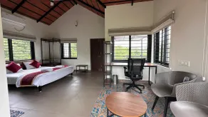 Macadamia - Image 2