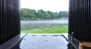 Kohanyu - Image 4