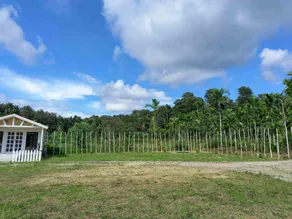 The Barn, Coorg - Image 5