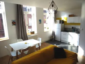 Appartement Lille/1ch/stationnement gratuit - Image 2