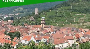 La Ptite Maison Gîte Alsace à la campagne - Image 5