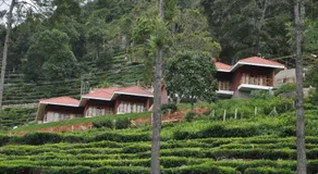Hanging Huts Resorts - Image 5