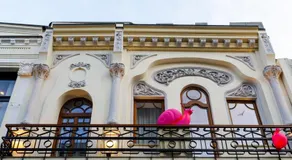 OLD TOWN SNAIL Design Apartments - Image 5
