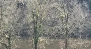 Joli appartemen Avec Vue Sur Vienne - Image 5