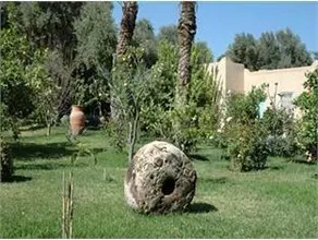 Hotel Dar Zitoune Taroudant - Image 3