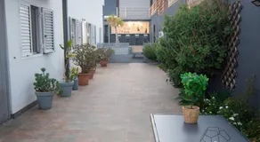 Serendipia del Sur - Image 5