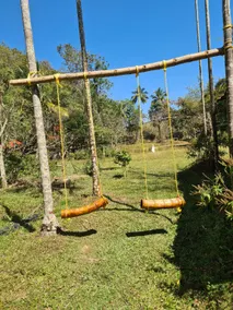 Deep Jungle Home - Image 3