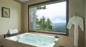 Trivik Hotels & Resorts, Chikmagalur - Image 4