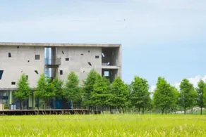 Rice Field Homestay - Image 3