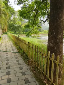 Sparrow Vale Resort Thattekkad - Image 3