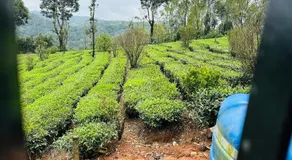 Beverly Hills Vagamon - Image 5