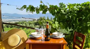 Vesuvio Inn Guest House e Wine Experience - Image 5