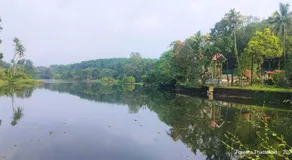 Foresta Thattekkadu Pool Resort - Image 4