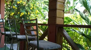 Berkey's Jungle Paradise - Image 5