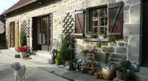 le Petit Papillon - Image 5