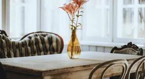Amante Boutique - Image 5