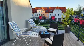 4 Foxes - Image 3