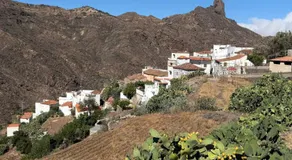 Nature in Tejeda - Image 4