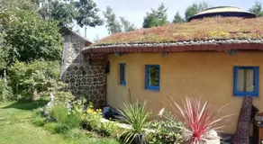 Sapphire forest garden shepherd’s hut - Image 3