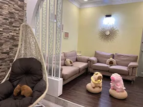 Capybara Kids House 12 Pax 5 min to Ipoh Town - Image 2