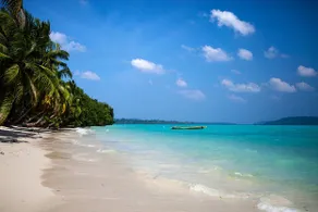 Wild Orchid Resort - Havelock Island - Image 4