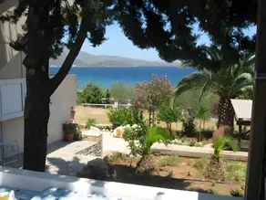iliopetro - Image 5