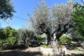 Villa Kavalino - Image 4