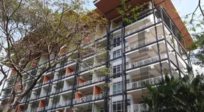 Pico de Loro Jacana B - Image 4