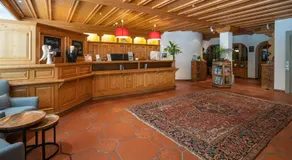 Studio im Hotel Des Alpes - Image 4
