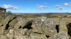 The Gun at Ridsdale - Image 5